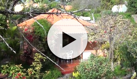 Rundgang Casa Palmera Youtube